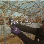 【農業ビジネス】ものづくり補助金]千葉県旭市フルーツファーム向後様の取組事例