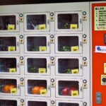 【野菜の無人販売用自販機】小規模事業者持続化補助金で導入事例